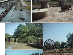 -溱湖国家湿地公园