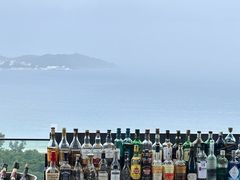 -瑰丽酒店·海吧·天际下午茶·现场DJ·天台酒吧