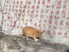 -抱犊寨风景区