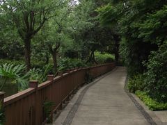 -晓港公园