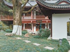 -十八棵（老龙井）御茶园(老龙井店)