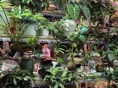 -花鸟鱼虫鲜花绿植市场(玉泉路店)