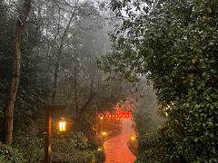 -天目湖涵田半山温泉