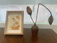 -致璞ZHIPU Rolling on(青岛极地店)