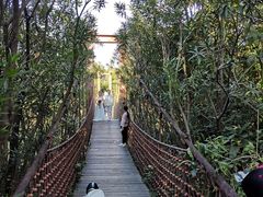 -吴淞炮台湾湿地森林公园烧烤区