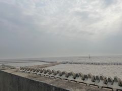 -南汇嘴观海公园