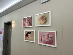 -安琪朵朵独栋花园月子中心