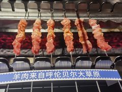 -很久以前羊肉串(朝阳路店)