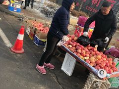 -蒲河大集