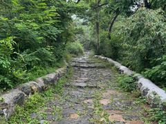 -阳台山自然风景区