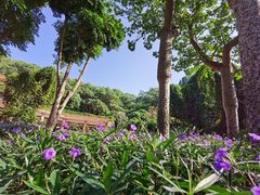 -云溪植物园