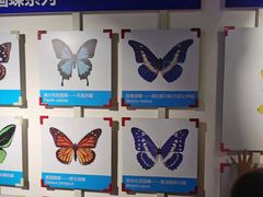 -吉林省自然博物馆