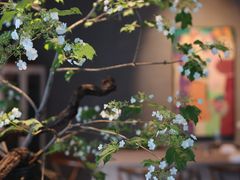 -曲廊院(东四十一条店)