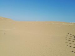 -银肯塔拉沙漠生态旅游景区