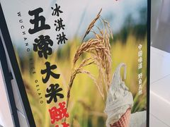 -野人先生现做冰淇淋(北京王府井东方新天地店)