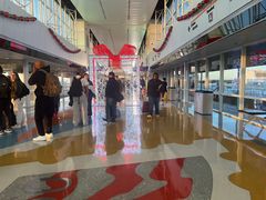 -达拉斯 沃斯堡国际机场