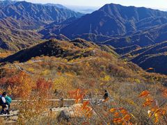 -大岭沟猕猴桃谷风景区