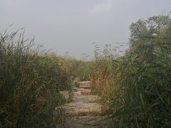 -绿堤公园