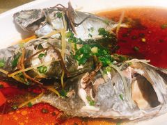 -强记海鲜·大排档(蛇口新街店)