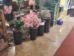 -回忆以前铁锅炖鱼村(一部六号街店)
