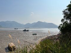 -北岐滩涂