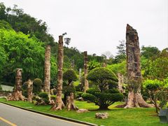 -深圳仙湖植物园