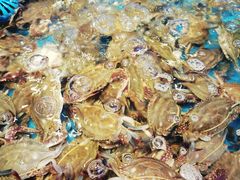 飞蟹-乔哥铭洋海鲜自助(皇城恒隆广场店)