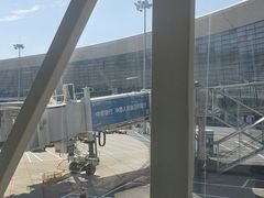 -郑州新郑国际机场-T2航站楼