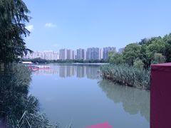 -南翔镇银翔湖公园
