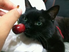 -达爱动物医院·犬猫分区·CT·复杂眼科(远洋山水分院)
