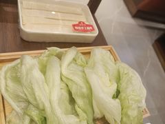 -蝎王府羊蝎子(虎坊桥总店)