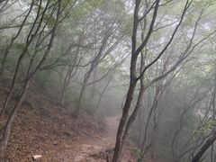 -云梦山
