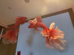 -长白山万达锦华套房酒店