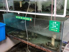 -七的湖·晚芳亭·阳澄湖农家菜·大闸蟹(莲花岛店)