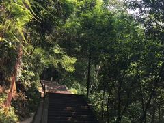 -峨嵋山金顶