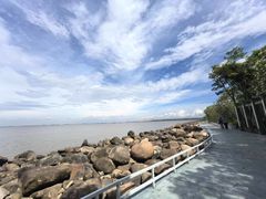 -吴淞炮台湾湿地森林公园烧烤区