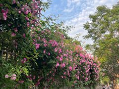 -元大都城垣遗址公园