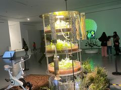 -大芬美术馆