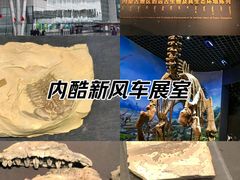-呼和浩特博物馆