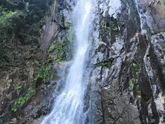 -姑婆山旅游区