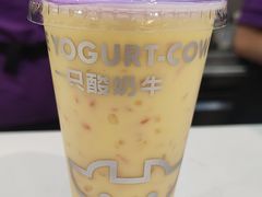 -一只酸奶牛(时代天街A馆店)