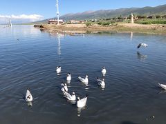 -青海湖国家重点风景名胜区