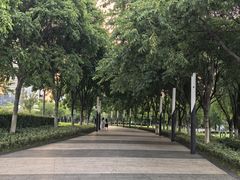 -金鸡湖景区
