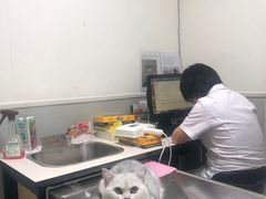 -谐和益家动物医院·免疫绝育·血液透析·宠保定点医院(高新伊藤分院)