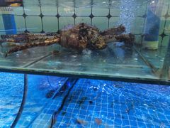 -日照大牌檔•小船海鲜(万平口店)