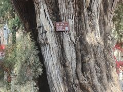 -四门塔风景区