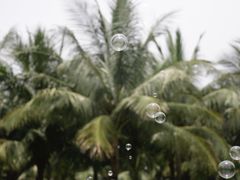 -白沙门生态公园