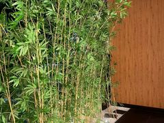 -新紫霞养生·影院足道·SPA(金山区店)