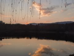 -栗酥饼(南长街店)