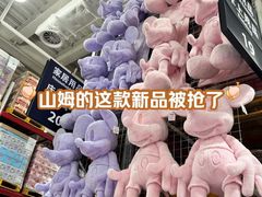 -山姆会员商店(亦庄创意生活广场店)